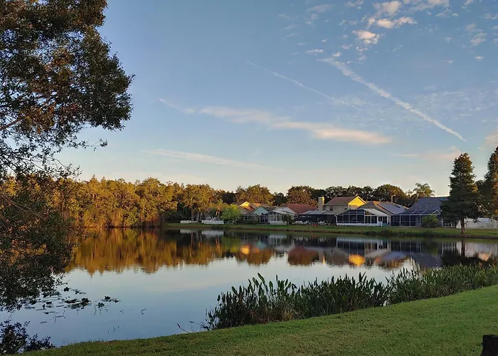 Cozy And Conveniently Located Pool Home With Free Wifi